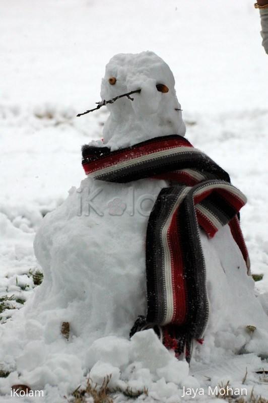 Snowman - DSC_9178.JPG
