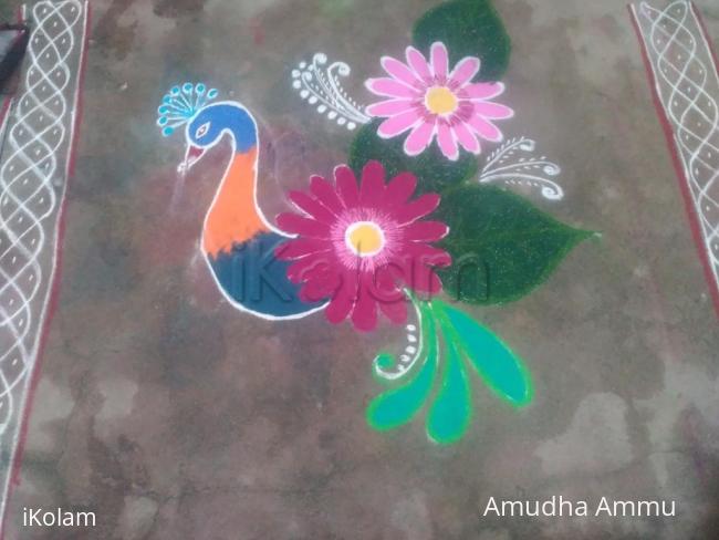 Rangoli: Peacock kolam