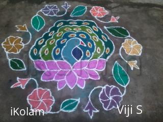 Rangoli: beautiful peacock kolam
