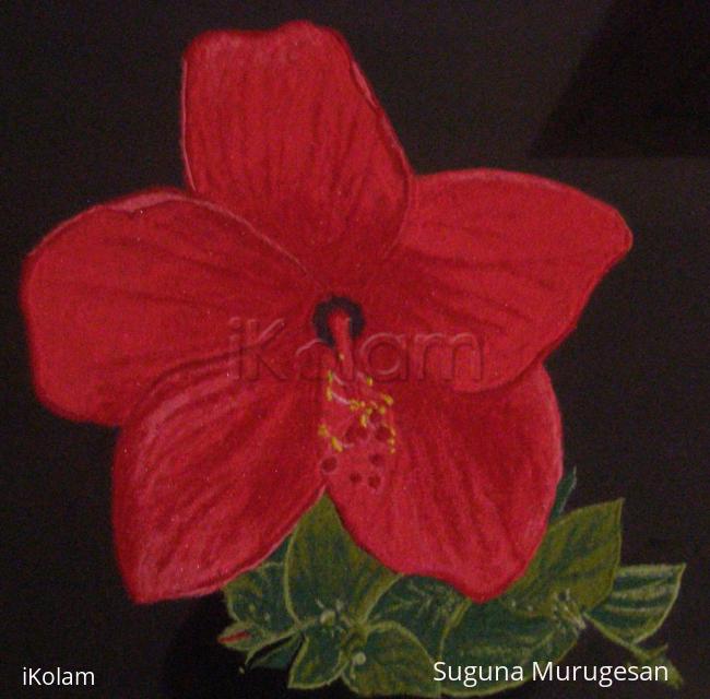 Rangoli: chembaruthi flower Rangoli: chembaruthi flower