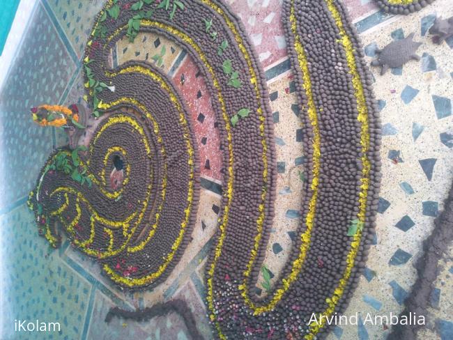 Rangoli: Shiv Parhiv Ling