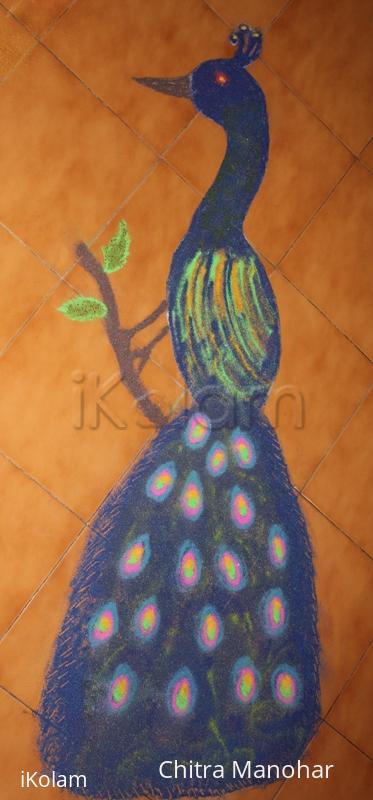 Rangoli: National bird day Rangoli: National bird day