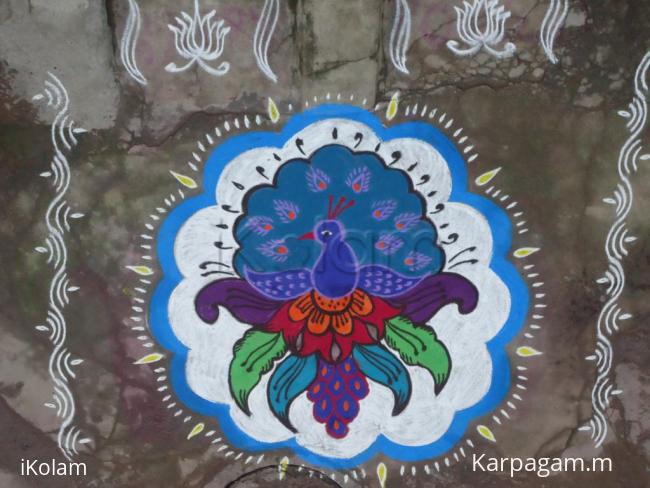 Rangoli: Peacock - Pongal Special