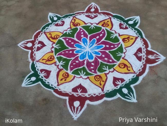Rangoli: Pongal wishes to all