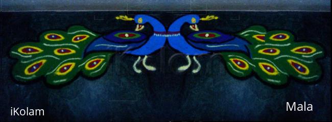 Rangoli: Peacock fashion show