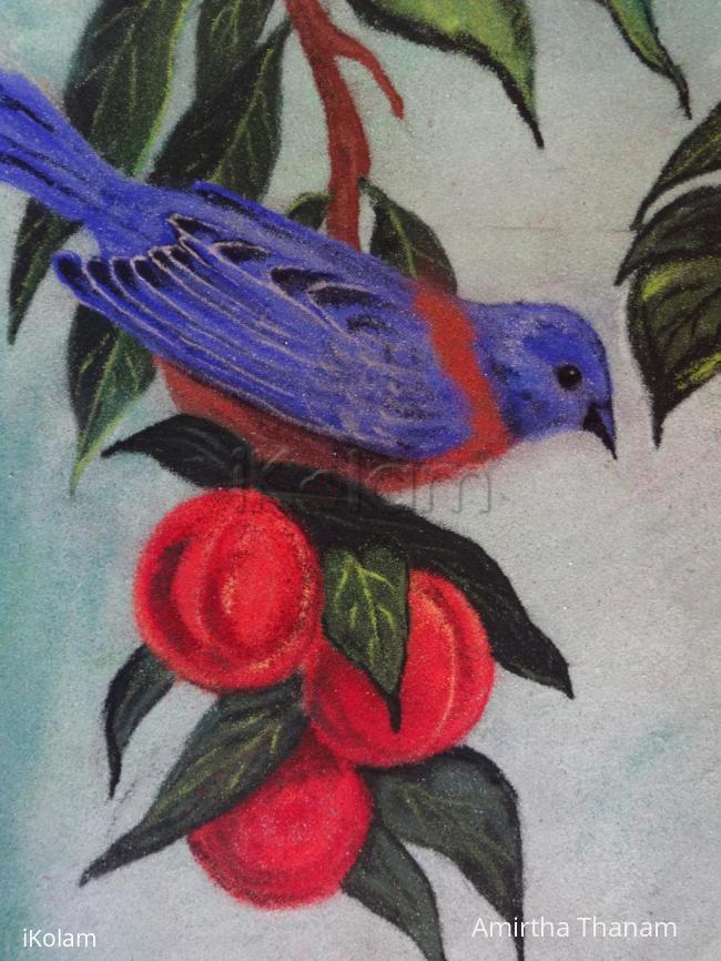 Rangoli: Bird