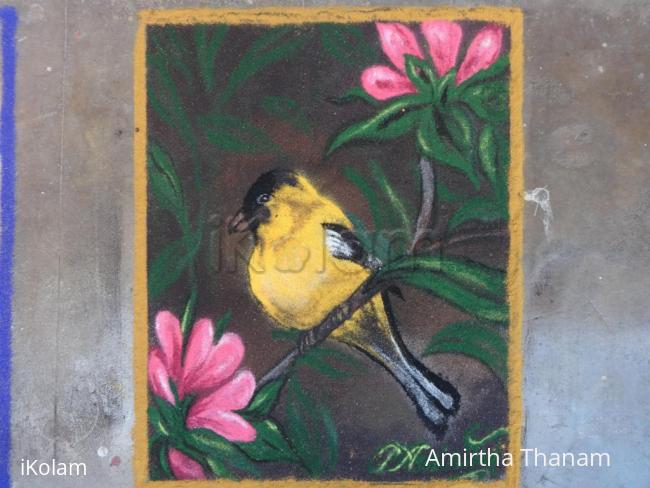 Rangoli: BIRD