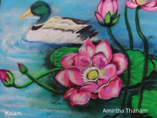 Rangoli: scenary