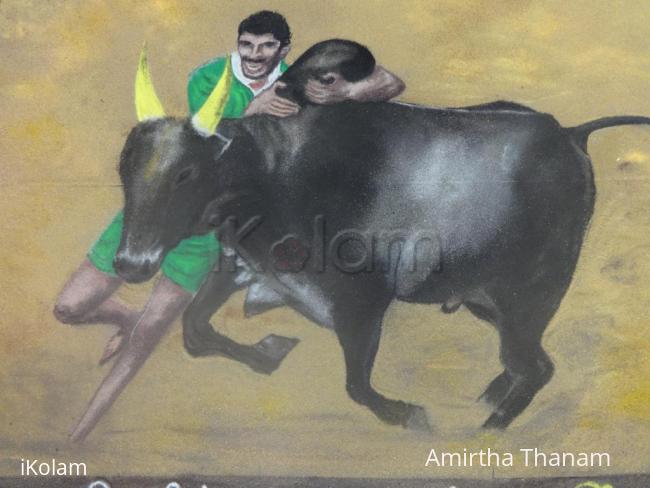 Rangoli: Jallikattu