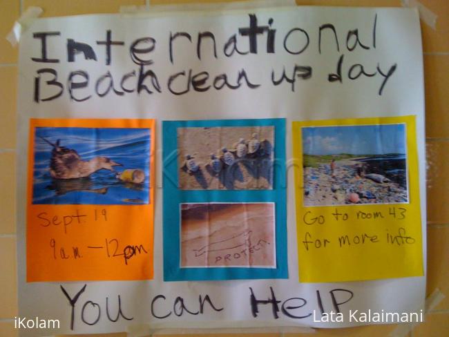 Environment - clean up - iphone 160.jpg