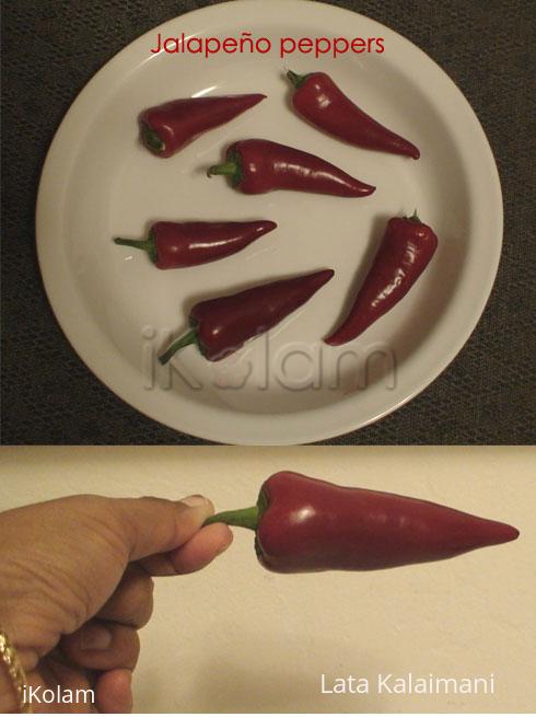 Jalapeno peppers - jalapeno_nicegood.jpg