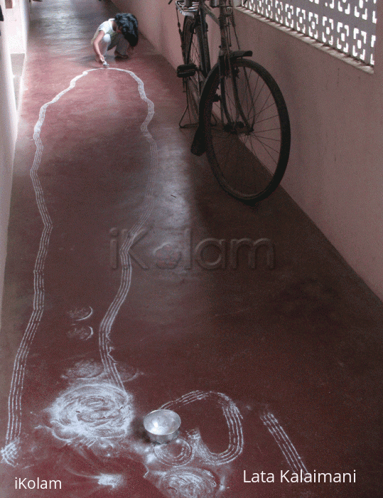 kuzhal araSi - suri_kolam.gif