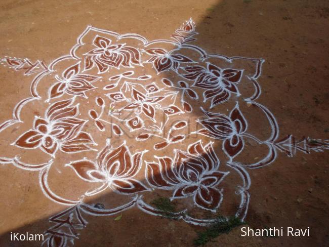 Rangoli: lotus rangoli