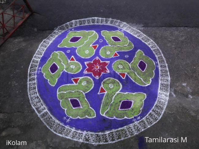 Rangoli: MARGAZHI KOLAM 27-12-2016