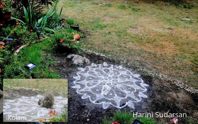 Rangoli: freehand Rangoli: freehand
