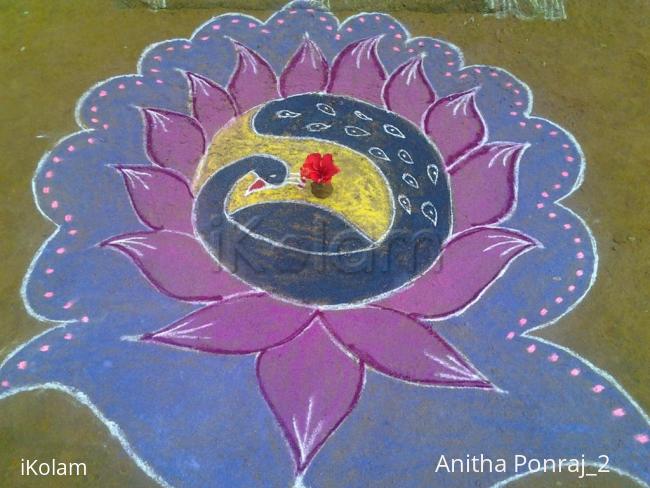 Rangoli: PEACOCK RANGOLI
