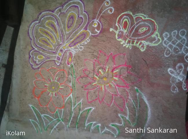 Rangoli: Butterfly rangoli Rangoli: Butterfly rangoli