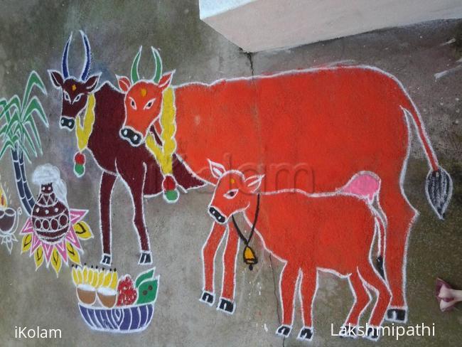 Rangoli: mattu pongal rangoli