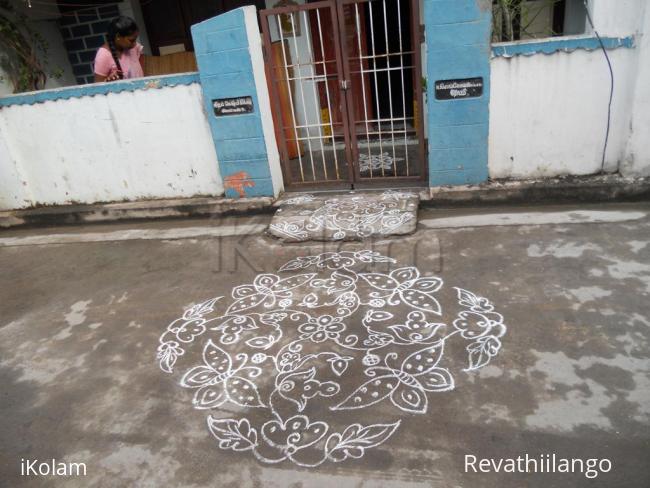 Rangoli: Butterfly & creeper kolam in white. Rangoli: Butterfly & creeper kolam in white.