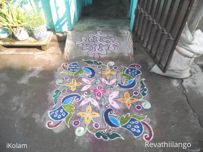 Rangoli: Peacock kolam.