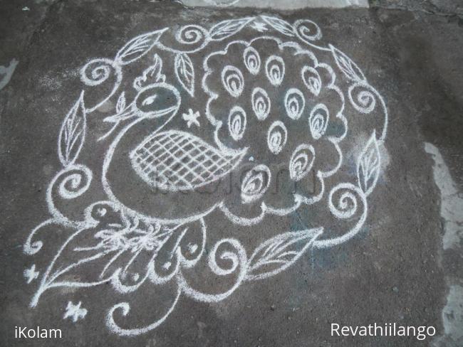 Rangoli: Daily peacock kolam.