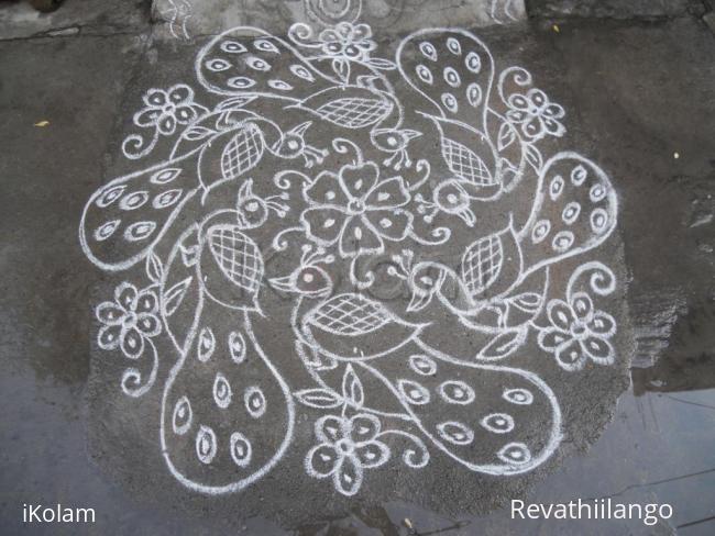 Rangoli: Peacock rangoli in white.