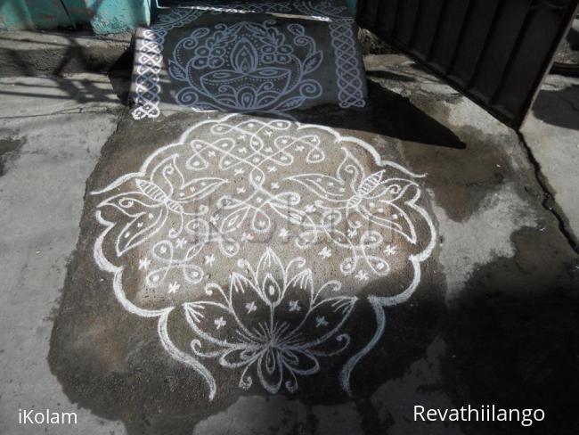 Rangoli: Rev's chikku butterfly kolam.