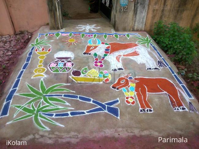 Rangoli:  Mattu Pongal kolam 