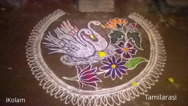 Rangoli: Swan rangoli
