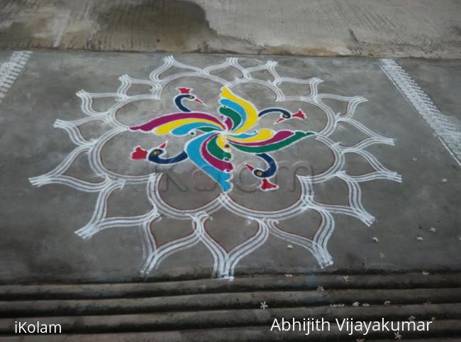 Rangoli: DANCING PEACOCKS FOR PANGUNI UTHIRAM Rangoli: DANCING PEACOCKS FOR PANGUNI UTHIRAM
