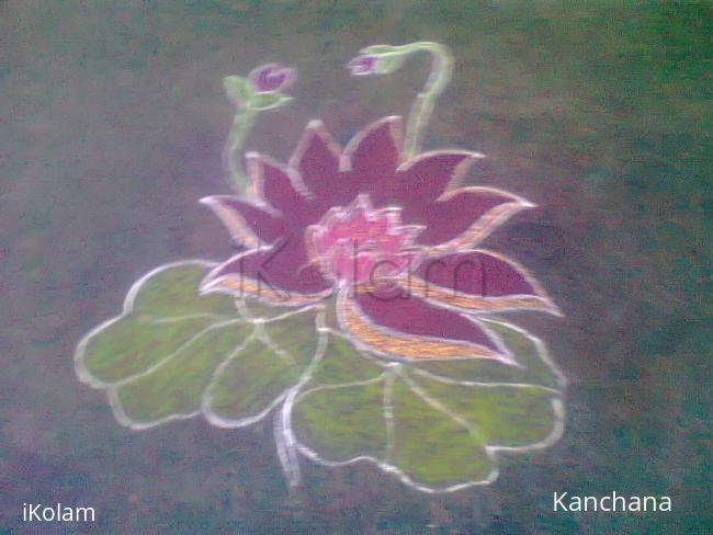 Rangoli: margazhi dewdrop contest 2016 Rangoli: margazhi dewdrop contest 2016