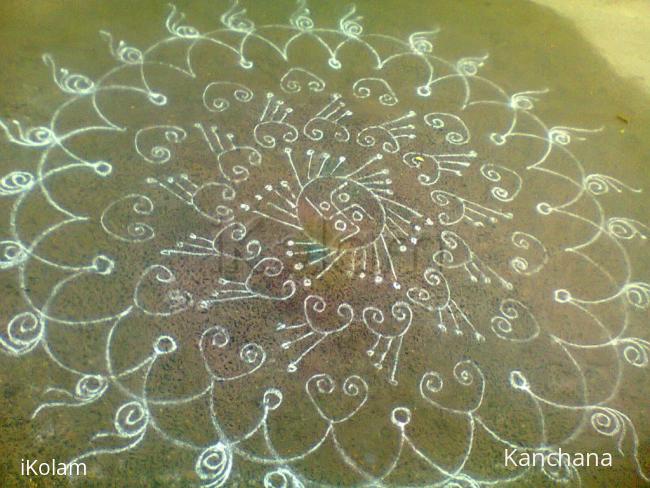 Rangoli: margazhi dewdrop contest 2016 Rangoli: margazhi dewdrop contest 2016