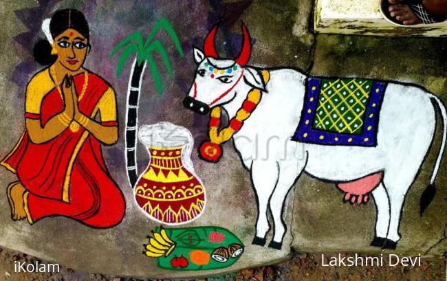 Rangoli: Pongal rangoli