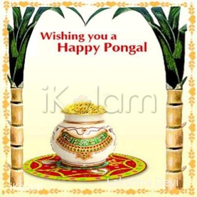 HAPPY  PONGAL - IKOLAM PONGAL.jpg
