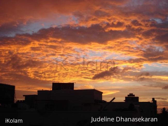 NATURE'S BEAUTY - sunset orange (2).JPG