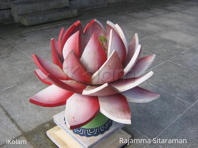 Lotus Thulasi Maadam - IMG_0217.jpg