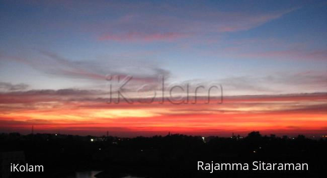 Nature - IMG_8589.JPG