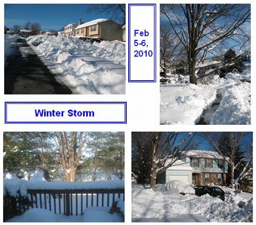 Winter Storm - Feb 5,6 - 2010 - snomageddon.jpg